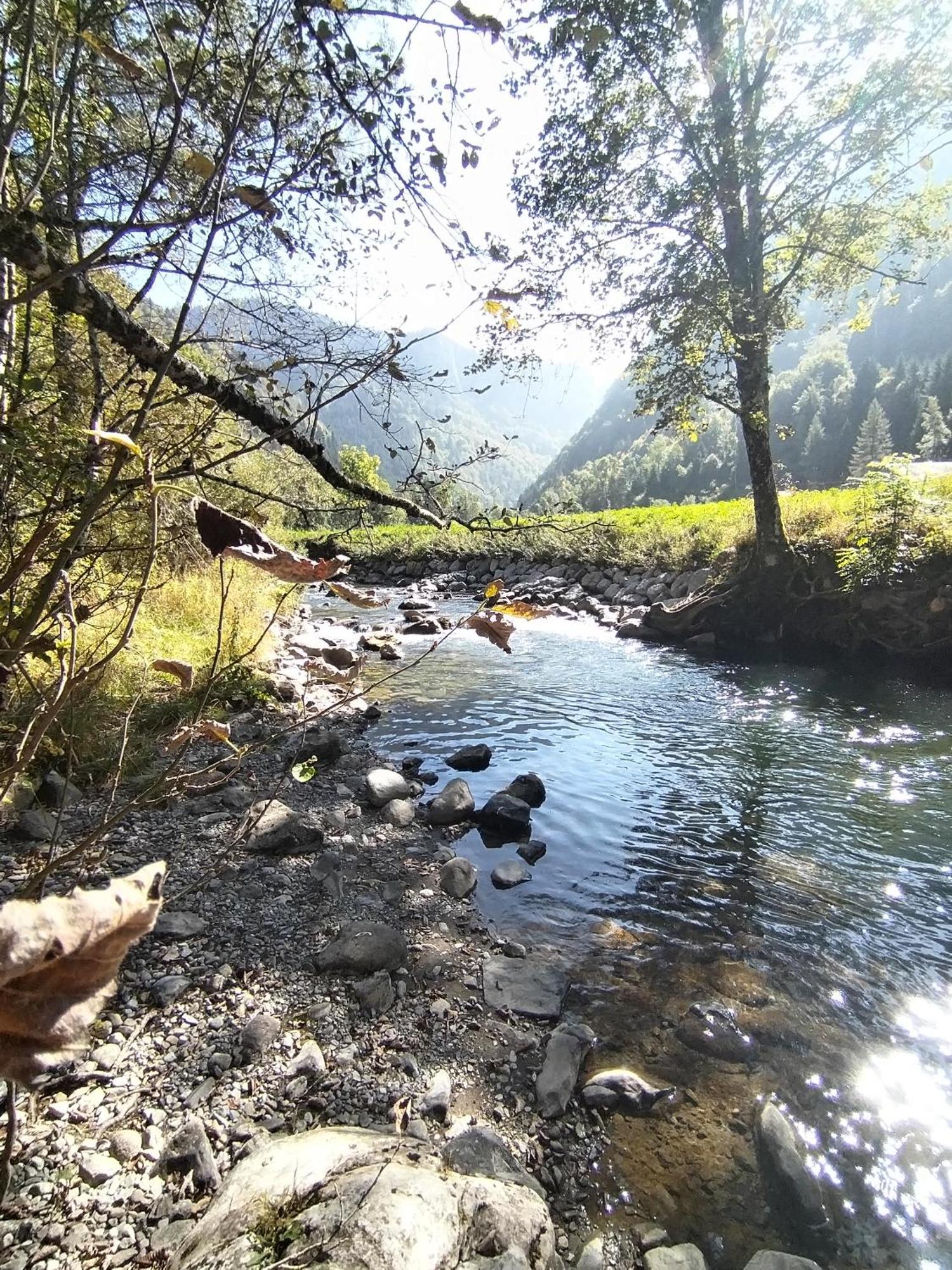 Chalet 8 Personnes + Grand Terrain Et Riviere Entremont Ngoại thất bức ảnh